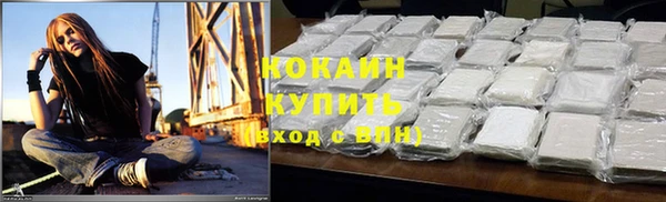 индика Беломорск