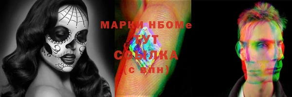 индика Беломорск