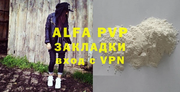 индика Беломорск