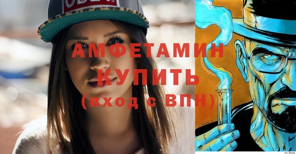 индика Беломорск