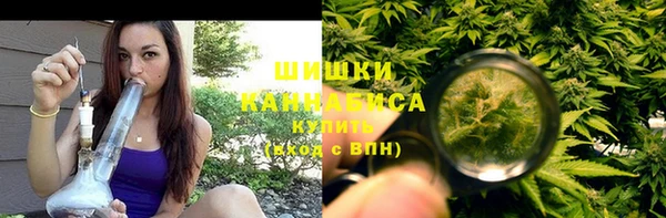 индика Беломорск