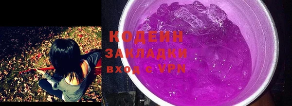индика Беломорск