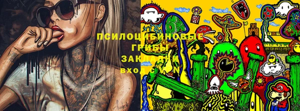 эйфоретик Белокуриха