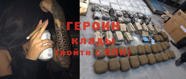 индика Беломорск