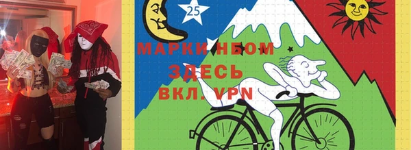 индика Беломорск