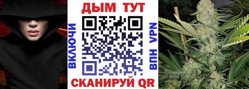 Бошки Шишки план  Мезень 
